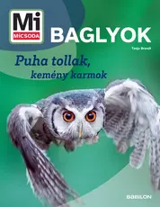 Mi Micsoda - Baglyok