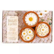 Gyertyakészítő - Százszorszépek 