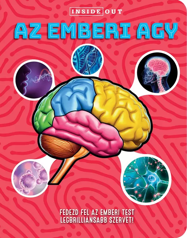 Az emberi agy