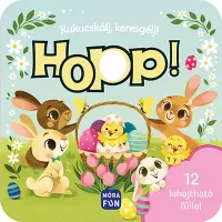 Hopp! - Kukucskálj, keresgélj!