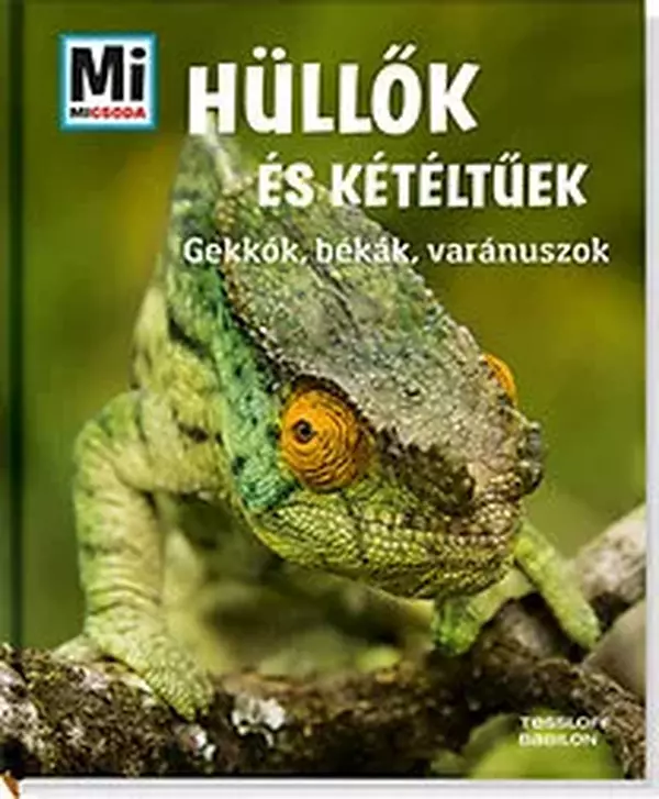 Hüllők és kétéltűek - Gekkók, békák, varánuszok