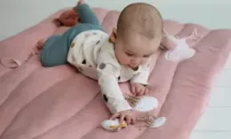 Little Dutch akció