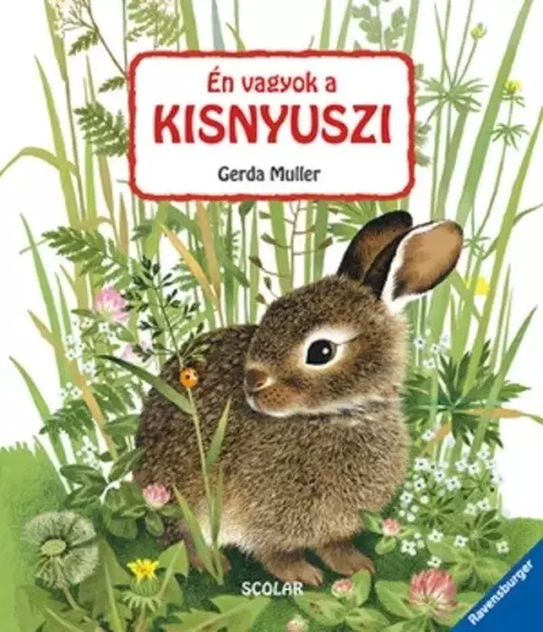 Én vagyok a kisnyuszi