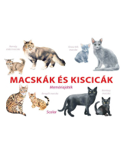 Macskák és kiscicák - Memóriajáték
