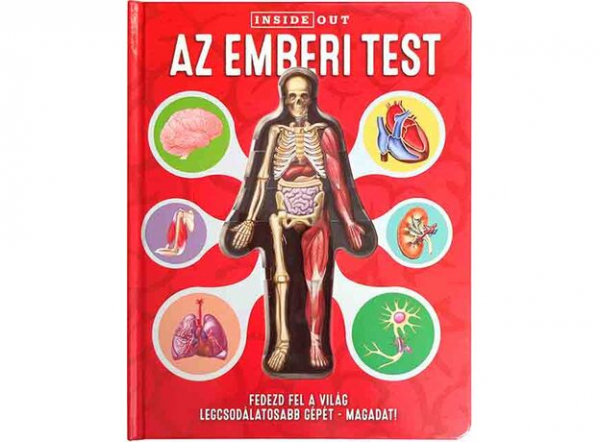 Az emberi test 3D