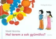 Hol terem a sok gyümölcs?