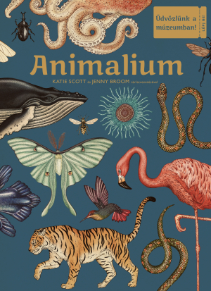 animalium_b1_hu_300dpi.jpeg