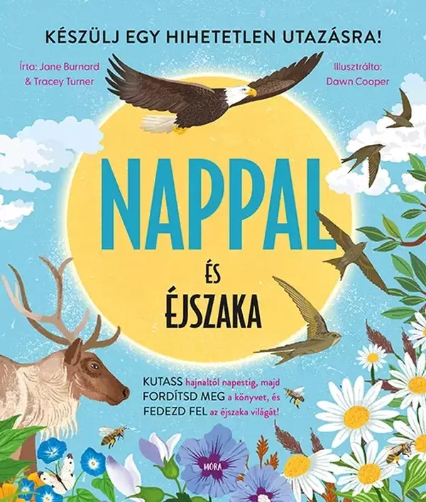 Nappal és éjszaka