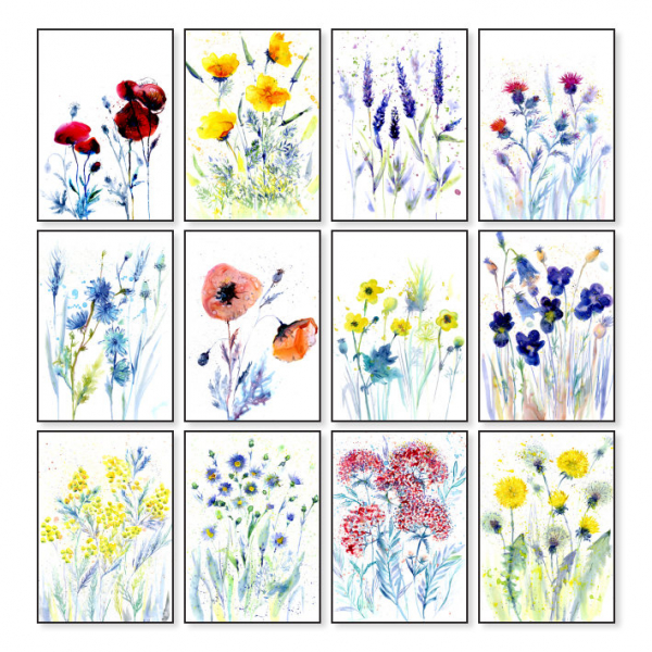 Papetri képeslap - Réti virág - 12db-os szett