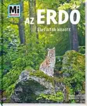 Az erdő - Élet a fák között