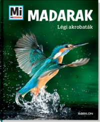 Madarak - Légi akrobaták