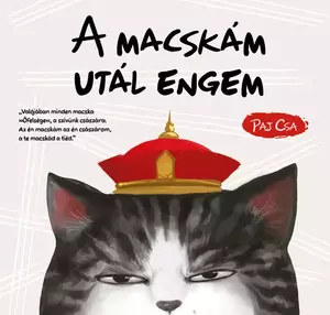 A macskám utál engem