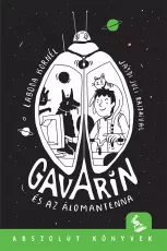 Gavarin és az álomantenna - E-book