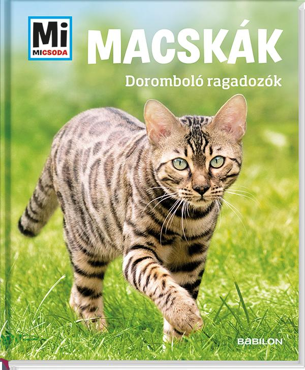 Mi Micsoda - Macskák - Doromboló ragadozók