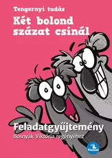 Két bolond százat csinál - Feladatgyűjtemény Bosnyák  Viktória regényéhez