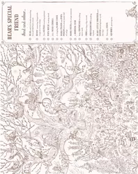Brown Bear Wood: Colouring and Spotting Book