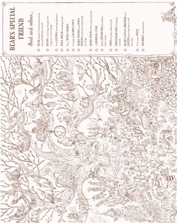 Brown Bear Wood: Colouring and Spotting Book