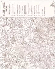 Brown Bear Wood: Colouring and Spotting Book