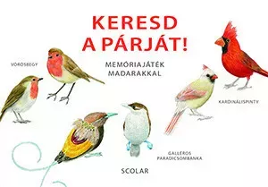 Keresd a párját! - Memóriajáték madarakkal