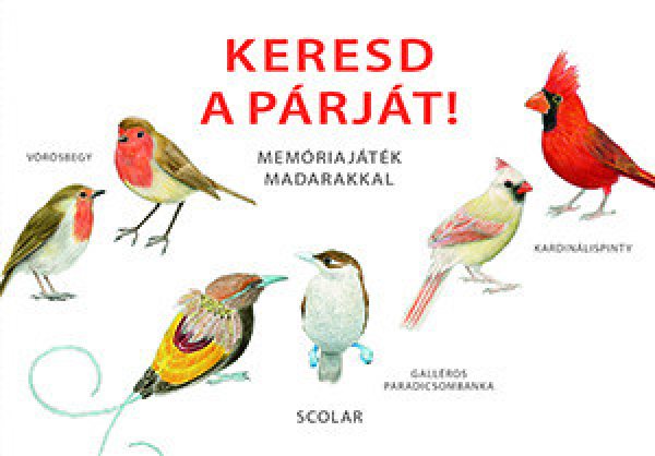 Keresd a párját! - Memóriajáték madarakkal