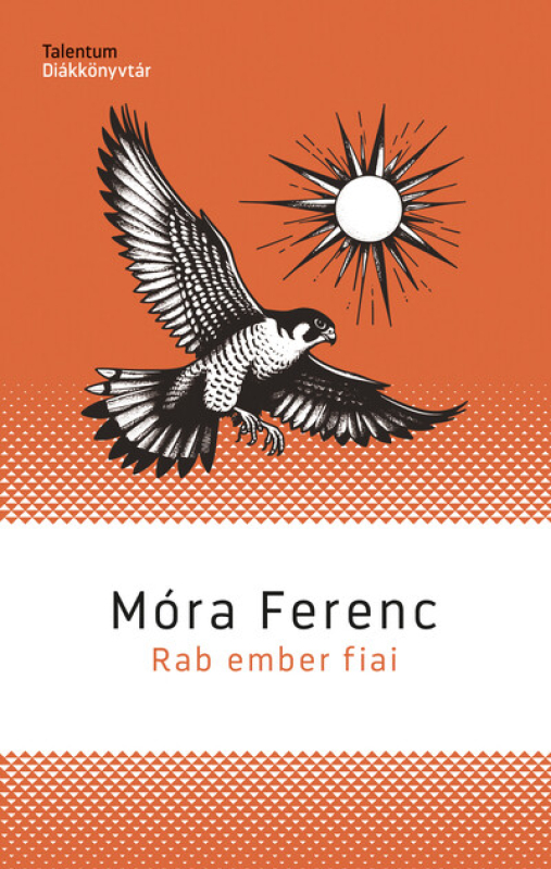 Rab ember fiai