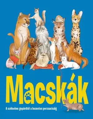 MACSKÁK - A szélsebes gepárdtól a bozontos perzsacicáig