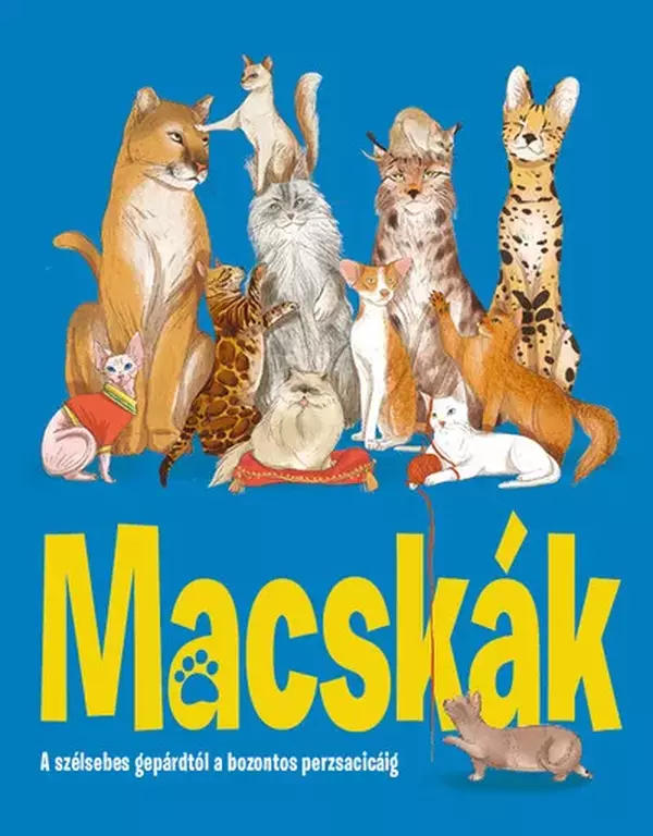 MACSKÁK - A szélsebes gepárdtól a bozontos perzsacicáig