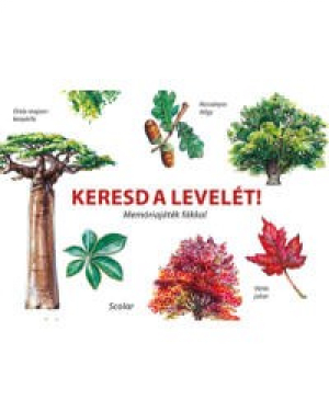 Keresd a levelét! - Memóriajáték fákkal