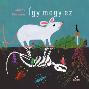 Így megy ez