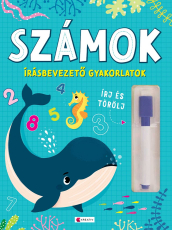 Számok – Írásbevezető gyakorlatok