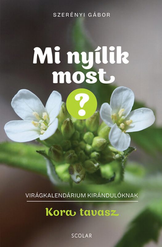 Mi nyílik most? – Kora tavasz
