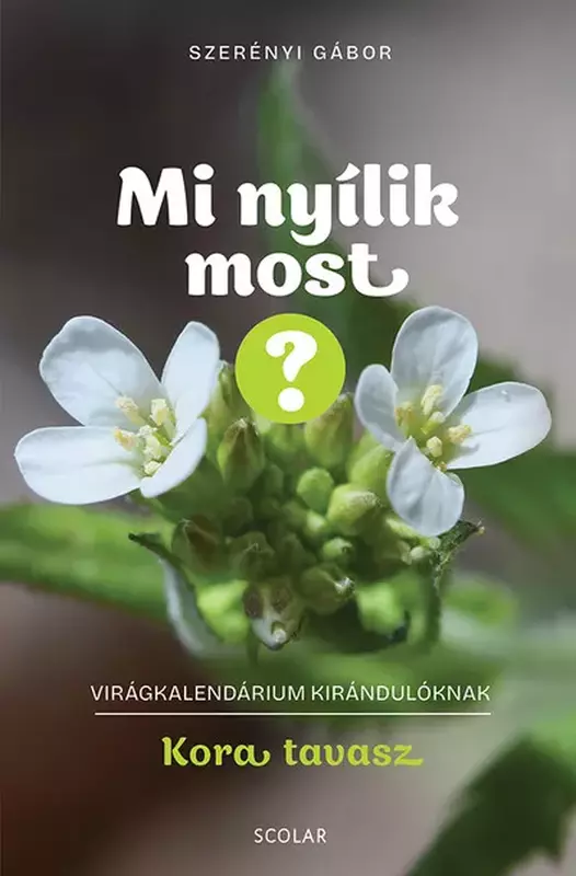 Mi nyílik most? – Kora tavasz