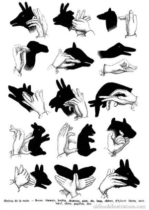 hand-shadows.jpg