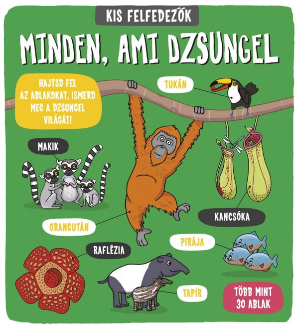 Minden, ami dzsungel