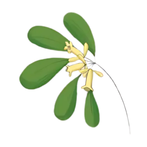 nevtelen-terv-2025-04-15t105758351.png