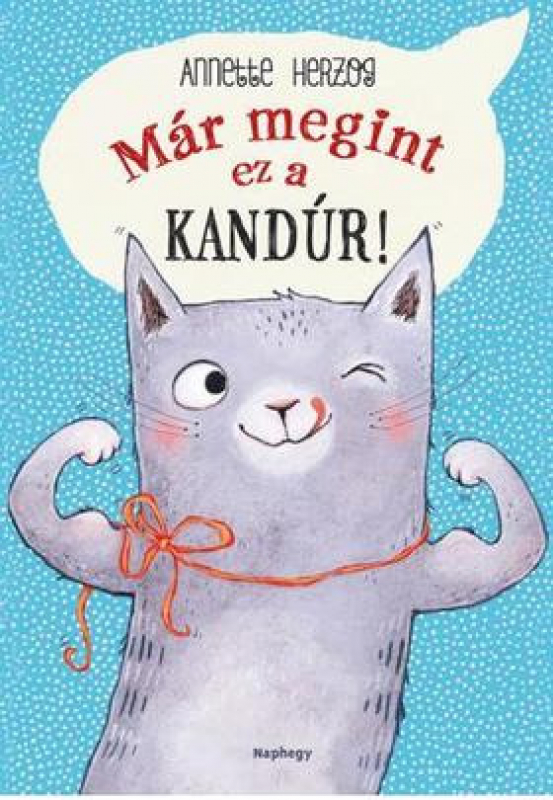 Már megint ez a kandúr!