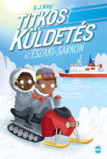 Titkos küldetés az Északi-sarkon