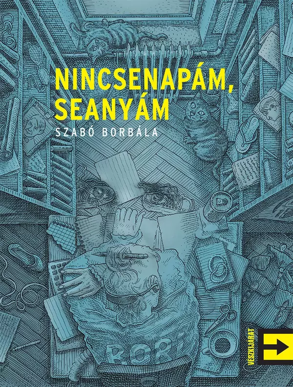 Nincsenapám, seanyám - E-book