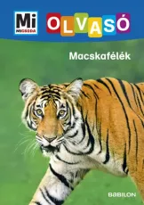 Mi Micsoda Olvasó - Macskafélék