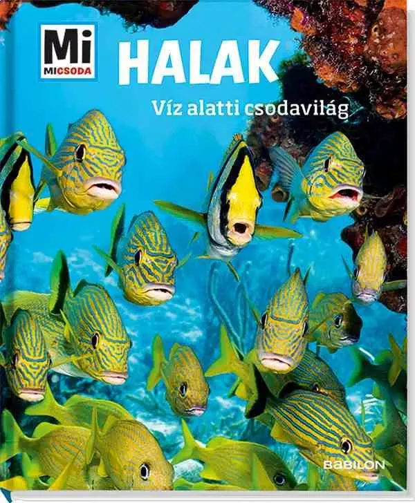 Halak - Víz alatti csodavilág