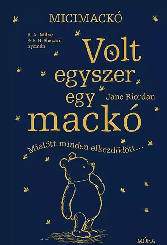 Volt egyszer egy mackó