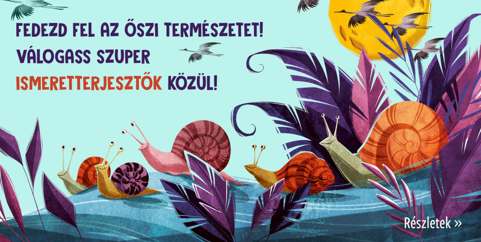 Fedezd fel az őszi természetet!