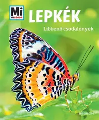 Lepkék
