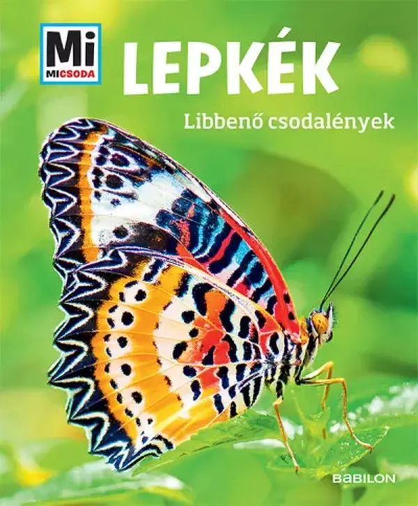 Lepkék