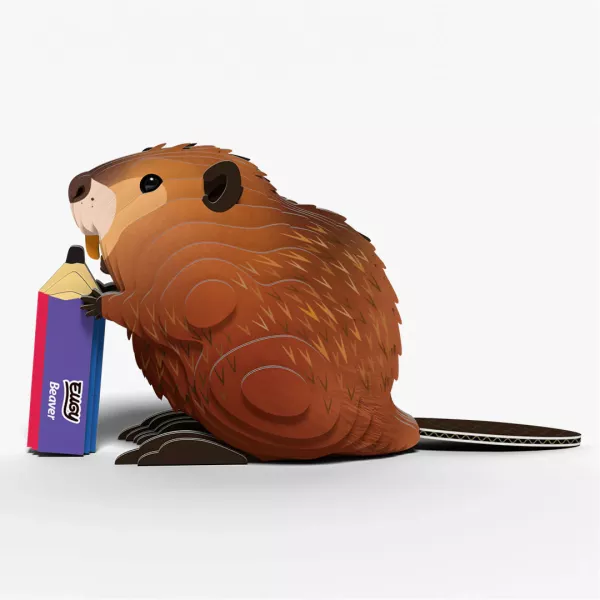 EUGY - Hód 3D puzzle