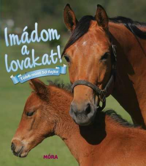 Imádom a lovakat!