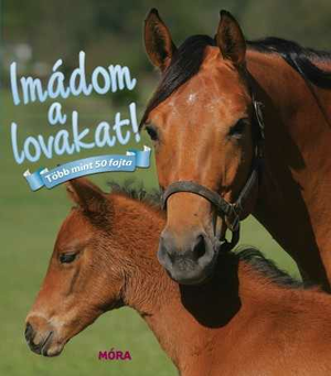 Imádom a lovakat!
