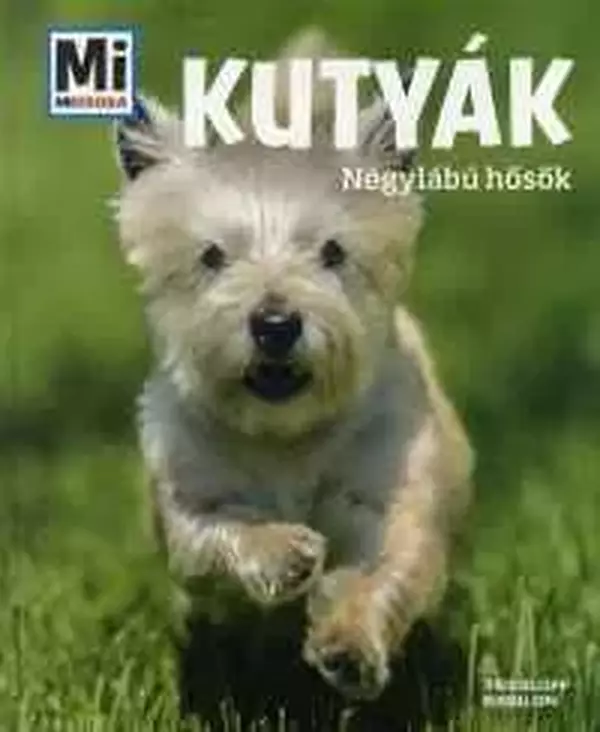 Kutyák - Négylábú hősök