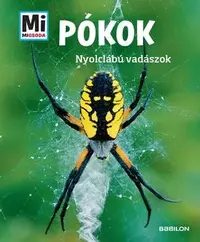 Pókok - Nyolc lábú vadászok