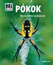 Pókok - Nyolc lábú vadászok